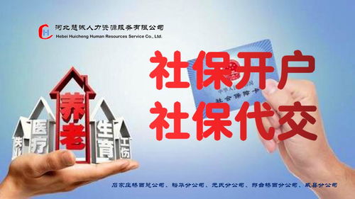 代理記賬與社保代理的完美結(jié)合 為您的進(jìn)出口業(yè)務(wù)提供便捷可靠的支持